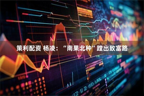 策利配资 杨凌：“南果北种”蹚出致富路