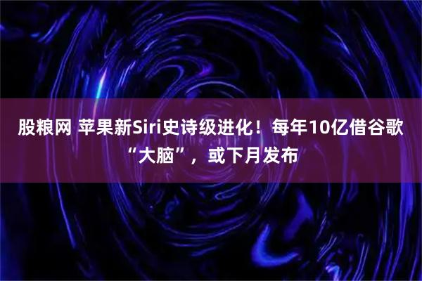 股粮网 苹果新Siri史诗级进化！每年10亿借谷歌“大脑”，或下月发布